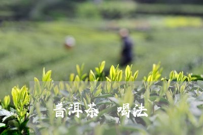 普洱茶 喝法/2023042814531